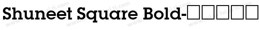 Shuneet Square Bold字体转换
